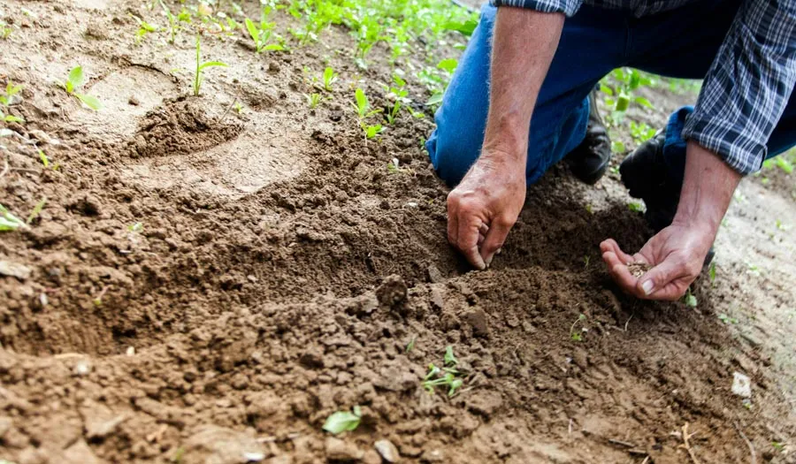 Natuur- en poppencatecheseproject De Moestuin van het Evangelie