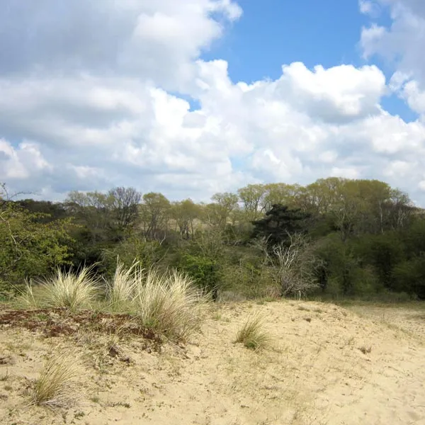 Verrassend landschap