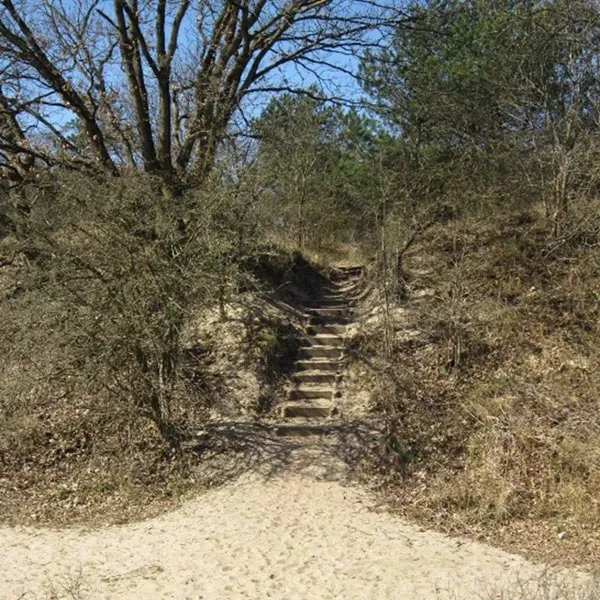 Met een trap naar boven